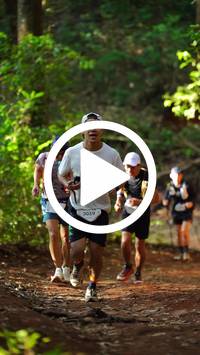 BIB:  <button type="button" onclick="openModal(27821740)" class="btn btn-primary btn-sm float-right" data-toggle="modal" data-target=".modal-high-quality">
                <i class="fa fa-download"></i> Download
                </button>